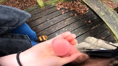 Handjob in Public Park Makes Me Cum