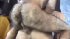 Peludo Coroa Comendo Novinho - Bareback Amateur