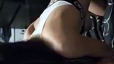 Hardcore big cock blowjob vids