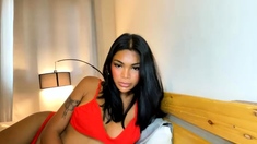 Leann amateur beautiful brunette with big boobs