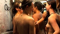 Small Titted Brunette Amateur Anal Nailed At Home