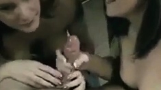 It Is Impossible To Say No To Two Girls Who Offer A Blowjob