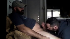 Hairy Big Daddy Bear Suck Dick