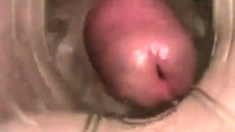 Fleshlight Quickie 4